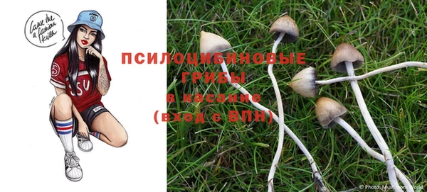 скорость Белокуриха