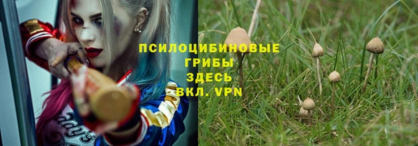 кокаин Богородицк