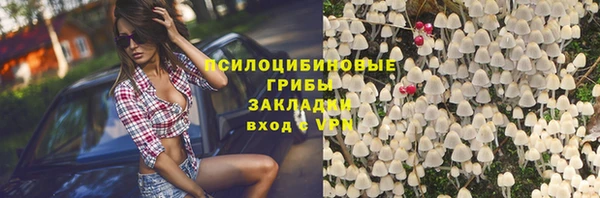 скорость Белокуриха