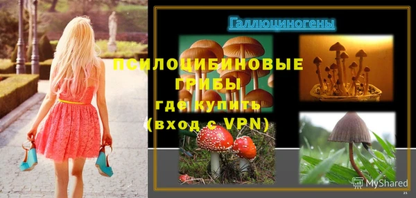 кокс Осташков