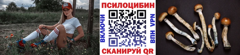 Псилоцибиновые грибы MAGIC MUSHROOMS  KRAKEN как зайти  Белокуриха 